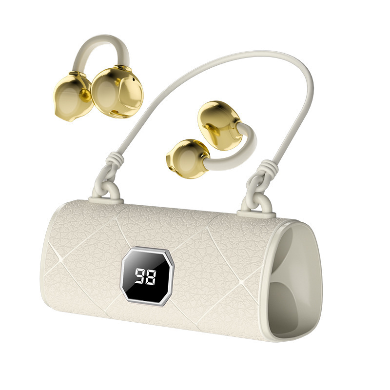 Language Translator Earbuds
